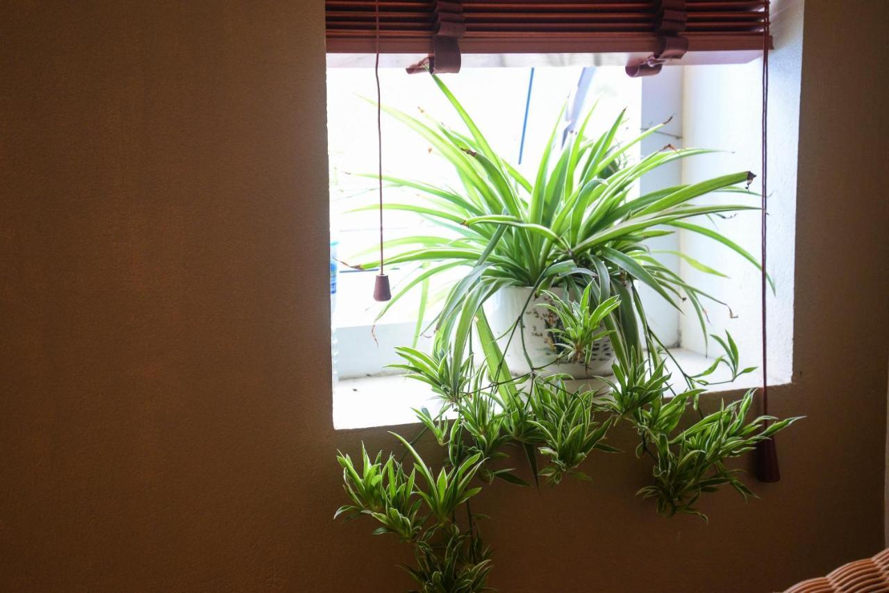 Ahoj Guest House Hạ Long Ngoại thất bức ảnh
